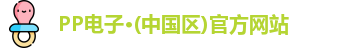 PP电子